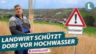 Miscanthus als Hochwasserschutz: Wie kann die Superpflanze helfen? | WDR Lokalzeit Land.Schafft.