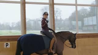 How to Deal With a Bolting Horse: Dressage Training Tips