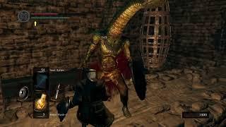 Dark Souls cool tip: Use Snake boi to get to BigHat Logan!!