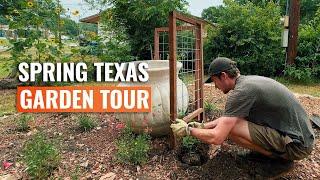 Spring Garden Tour in San Antonio (Zone 9a): Exploring Texas Native Plants & Food Forestry