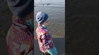 Ответьте всего лишь на один вопрос ЗАЧЕМ?