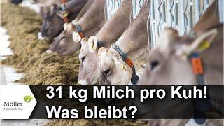 31 kg Milch pro Kuh/Tag: Wie viel Milcherlös fressen die Futterkosten bei Timo auf?