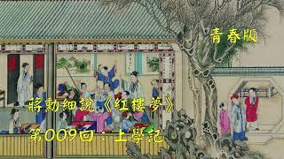 蒋勋细说红楼梦第009回：上学记（青春版 | 共120回）