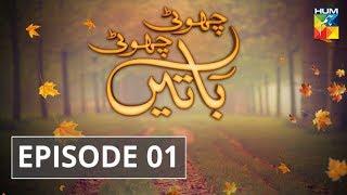 Wajah Tum Ho Episode #01 Choti Choti Batain HUM TV Drama 4 August 2019