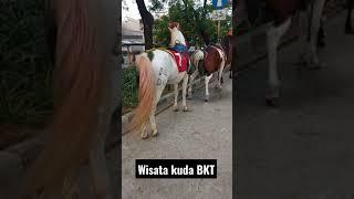 Wisata kuda di BKT #short#wisatabkt#kuda