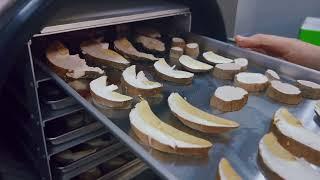 Сублимация (лиофилизация) белых грибов Harvest Right Freeze Dryer.