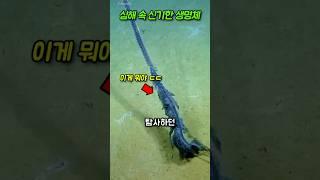 심해에서 발견한 기묘한 생물