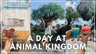FLORIDA DAY 1: Animal Kingdom 2021 - Disney World Vlogs!