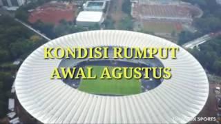 Update Stadion Gelora Bung Karno | Kondisi Rumput Awal Agustus