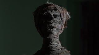 Buying a REAL CURSED MUMMY!
