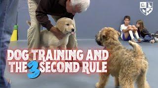 The Dog Training 3 Second Rule - Timing is Everything!