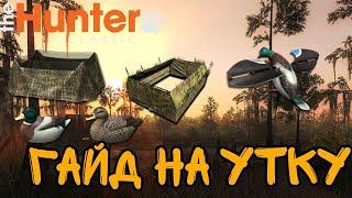 The hunter classic. Охота на утку. Гайд для новичков
