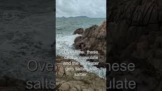 WHY THE SEA IS SALTY #short  #animals #didyouknow #educationalvideo #geographyexplained  #marinelife