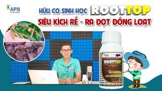 APN - CHẾ PHẨM CHUYÊN KÍCH RỄ TẠO CƠI SẦU RIÊNG | Hỗ trợ kéo bông kéo đọt nhanh