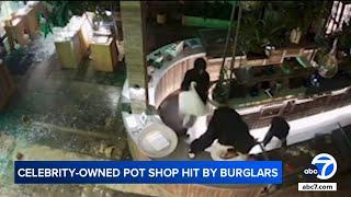 Thieves ransack LA pot shop owned by Bill Maher, Woody Harrelson