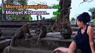 Pesugihan dan Rupa-rupa kehidupan penghuni Bantaran Ngujang Kali Brantas pinggiran kota Tulungagung.