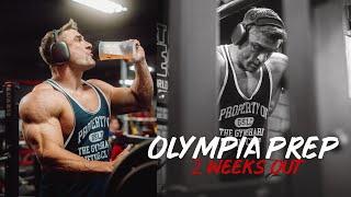 OLYMPIA PREP - UPPER BODY CIRCUIT 2 WEEKS OUT! (4K)