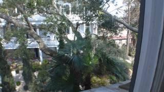 16 Church St - Historic Charleston SC Home For Sale