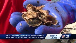 Oyster farmers explain how they use Maine Sea Grant