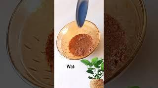 Flaxseed  Face Mask For Bright, Skin Whitening & Youthful Skin | Removes Wrinkles & tightens  skin