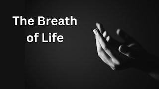 Lord, Teach Us to Pray #1: The Breath of Life