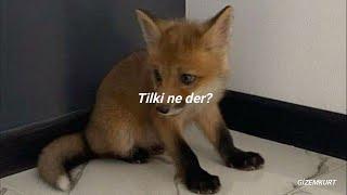 Ylvis - The Fox (What Does The Fox Say?) (Türkçe Çeviri)