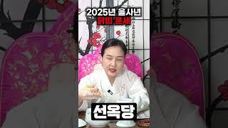 닭띠에겐 비밀이 있습니다' 미리보는 2025년 을사년 닭띠운세!