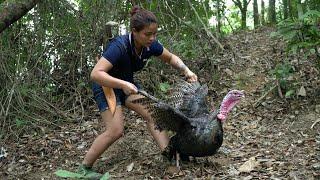 Big turkey trapping skills | Survive Alone | survival instinct | Find food | Phượng Pú