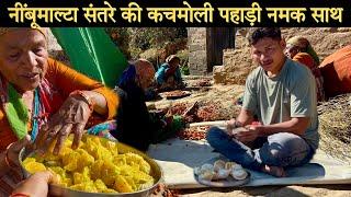 नींबू माल्टा संतरे की कचमोलीखटाई पहाड़ी नमक के साथ, uttarakhand village food, indian pahadi village