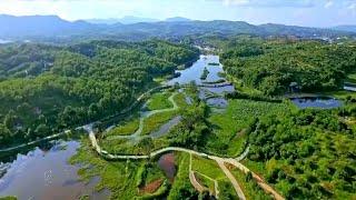 Tingjiang National Wetland Park in SE China