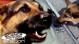 The Bionic Dog Saves A Little Girl | The Bionic Woman | Science Fiction Station