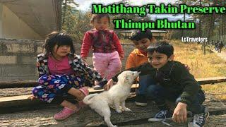 Thimpu Motithang Takin Preserve Bhutan Ep20 Mumbai-Bhutan Road Trip By LcTravelers