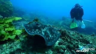 Perth Scuba dives Roe Reef at Rottnest Island