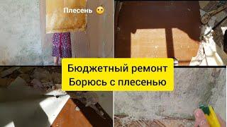 Делаю бюджетный ремонт сама . Как бороться с чёрной плесенью