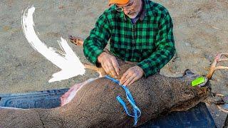 WEIGH A DEER WITH ONLY A TAPE MEASURE