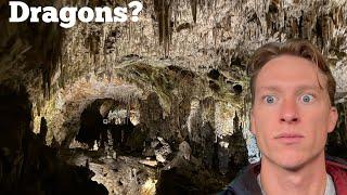 Exploring a 3 Million Year Old Cave (Baby Dragons?)