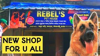 REBEL'S PET HOUSE | new shop for u all | pet shop