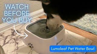 Is the Lumoleaf pet water bowl really mess-free?