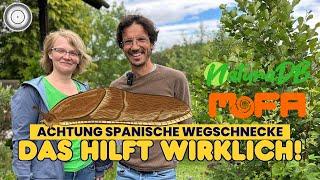 DIE SPANISCHE WEGSCHNECKE -  WAS DU WIRKLICH TUN KANNST UND SOLLST. Sowie Mythen & Fakten im Check.