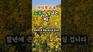 자식복으로 노후가 빛나는 띠 4가지 | 띠별운세 | 풍수