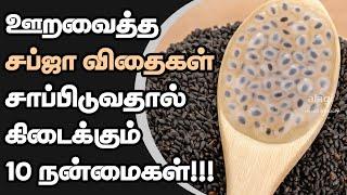 Top 10 Health Benefits of Sabja Seeds in Tamil | Basil Seeds | Natural Body Coolant | Summer Food