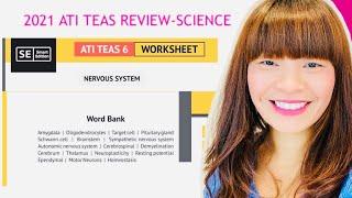 2021 ATI TEAS REVIEW NERVOUS SYSTEM Smart Edition Worksheet Study guide with Word Bank !