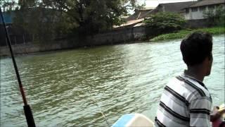 Fishing with Fahim in Sri Lanka rivers and lagoons 17 11 2013