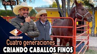 Gran oportunidad para HACERSE DE UN BUEN CABALLO