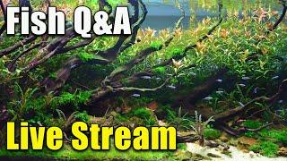 [LIVE]  Another Mid-Summer Fish Q&A!