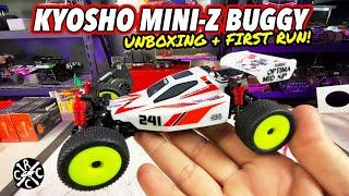 Kyosho Mini-z Buggy Unboxing and First Run