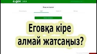 Еговқа кіре алмай жатсаңыз? | Ncalayer қосылмай жатса не істейміз?