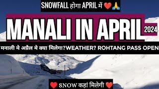 Manali in april | Snowfall / snow in april 2024 | Hotel | Budget | Rohtang pass in april