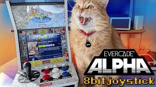 Evercade Alpha: The Smart & Stupid $250 Mini Arcade!