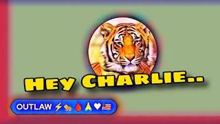 @youtubedaze has some words for Charlie, the lightening tiger back up..@LightningTigerUSA..